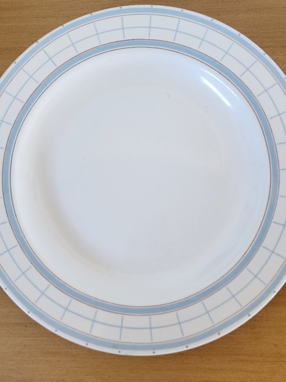 Martha Stewart Everyday MTW22 Porcelain Dinner Plate